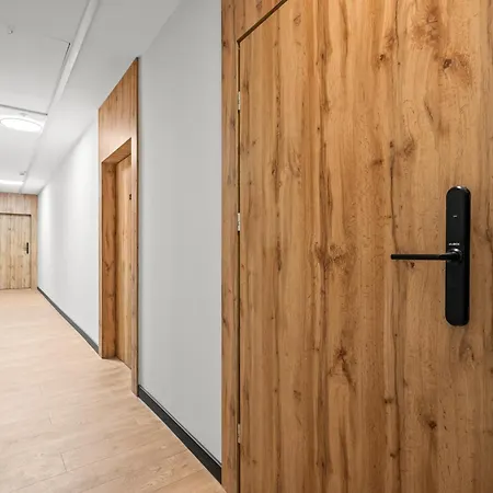 Apartment Platinum 16 Rybnik (Silesia)