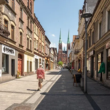 Platinum 16 Rybnik (Silesia)